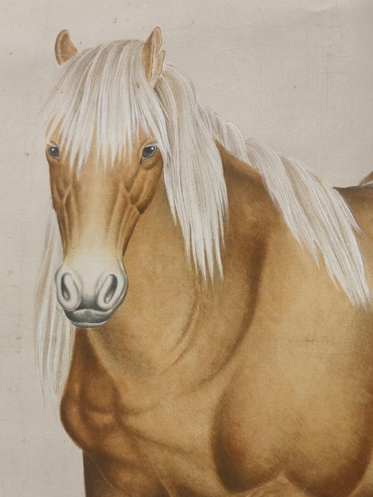 嚴選近代名家馬晉駿馬圖軸，宣紙為質，畫芯尺寸珍藏，個人家中遺產整理