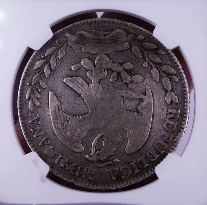 墨西哥1877年8R花邊鷹洋ZS JS NGCCFD H0095 世界古錢幣嚴選收藏推薦
