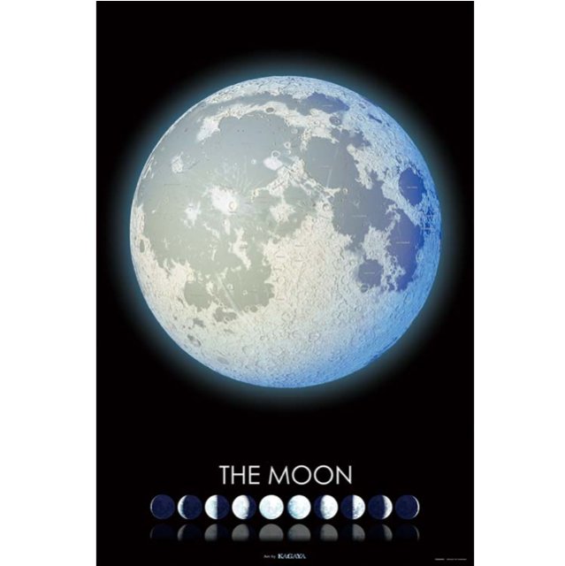 柯月 キノピヨ！ 4975406502341_c45cb18469349f00