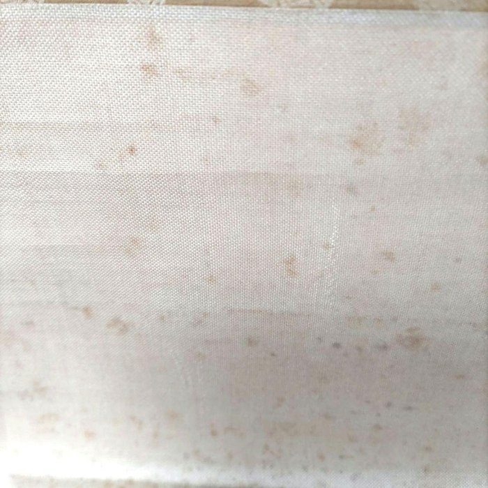美人画　晴雪　掛軸　Y262 美人畫掛軸晴雪紙本立軸Y262 | Yahoo拍賣