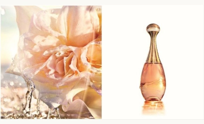 DIOR 迪奧J'adore in Joy 愉悅淡香水100ml 全新盒裝| Yahoo拍賣