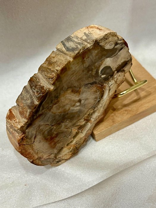 樹化玉木化石木玉化木原石礦墊色紋美厚材厚料天然化石萬年木| Yahoo拍賣