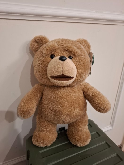 一元起標 陳董嚴選 熊麻吉 Ted 泰迪熊 全新吊牌未拆 | Yahoo拍賣