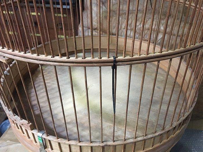 早期大型鳥籠雲雀底部直徑約51.5cm 高可伸展 (目前用黑色束帶