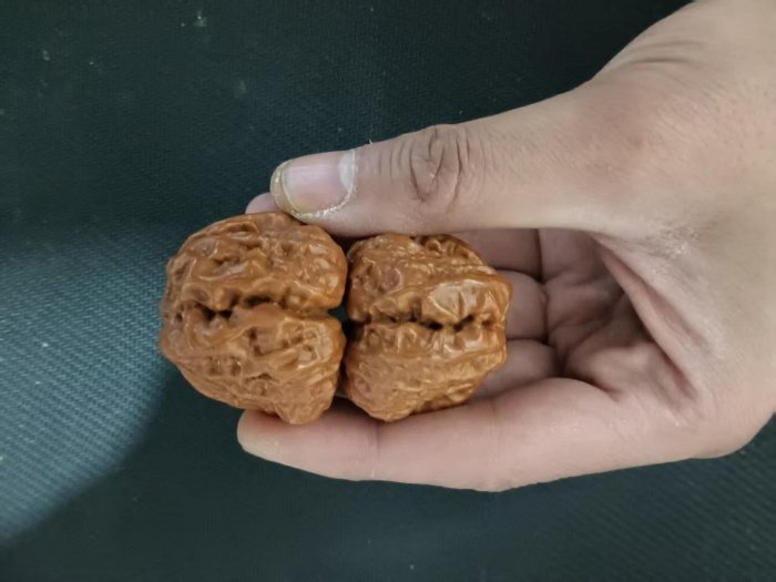 嚴選文玩核桃·蛤蟆頭青皮連體平皮41號4開背，品質上乘適合收藏家佩戴