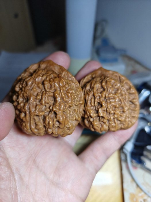 文玩核桃，尺寸卡46，～-22198 | Yahoo拍賣