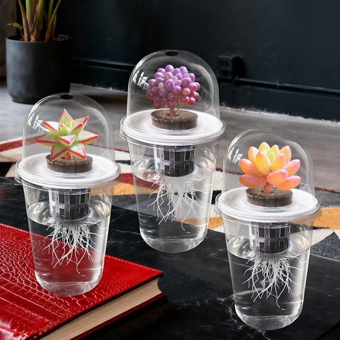 【珍愛頌】N693 育苗杯五件套 水培杯 水培種子花盆 水培花盆 水耕瓶 育苗盆 塑膠花盆 水培瓶 水養植物瓶 水耕盆栽