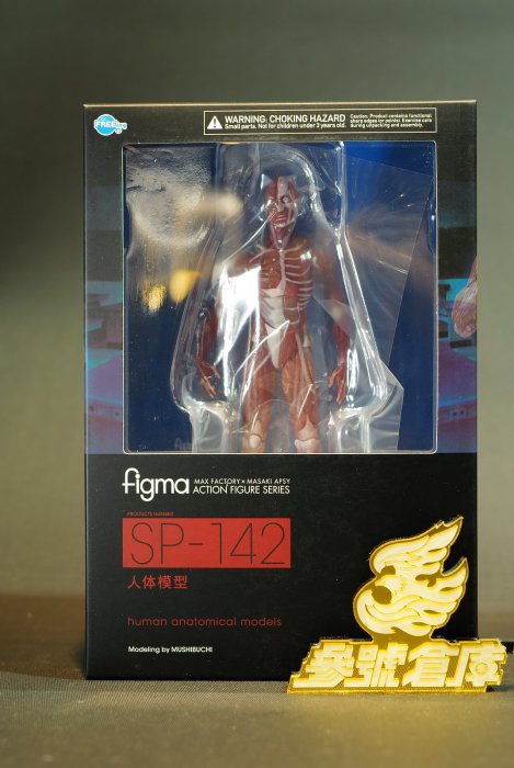 參號倉庫) 現貨figma SP-142 桌上美術館人體模型理科教室可動完成品