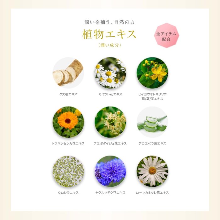 日本箔座/HAKUZA 金箔旅行組トライアルセット卸妝凝膠+洗面乳+化妝水+