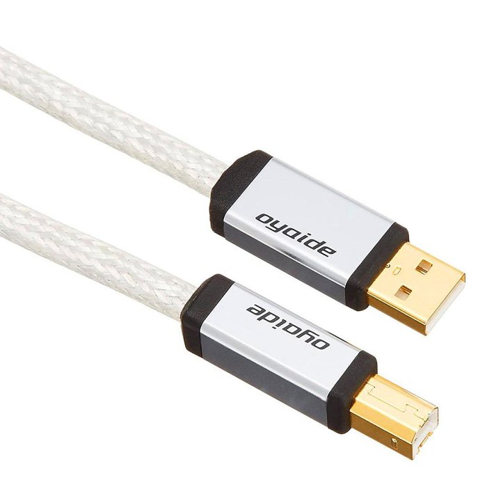 Oyaide歐亞德USB線Continental 5S V2 5N純銀HIFI數據線日本進口| Yahoo拍賣