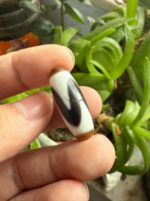 嚴選虎牙天珠精致天然裂紋添古謠10×45mm 天然天珠虎牙天然裂痕| Yahoo拍賣