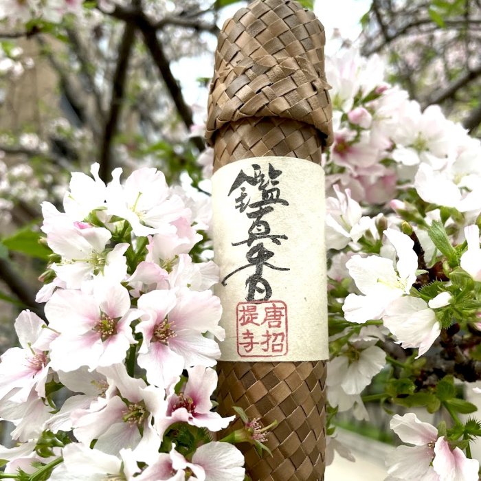 58f9ff67-aaa7-464e-8832-