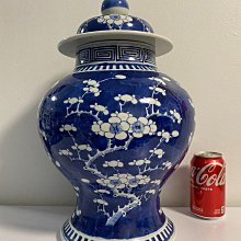 將軍罐-優惠推薦2026年8月| Yahoo購物中心
