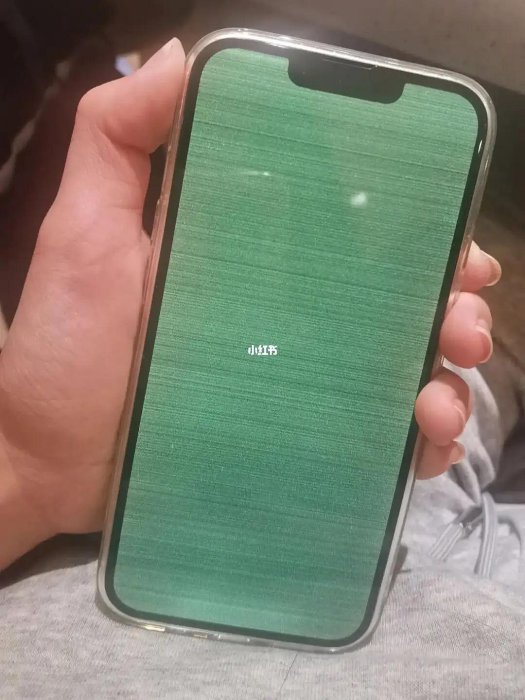【台北維修】iPhone13 液晶螢幕維修 綠屏 維修完工價格1500元 全國最低價