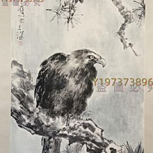 6517 楊善深松鷹圖（純手繪） 立軸畫心尺寸67 X 1 【古董店】-1839