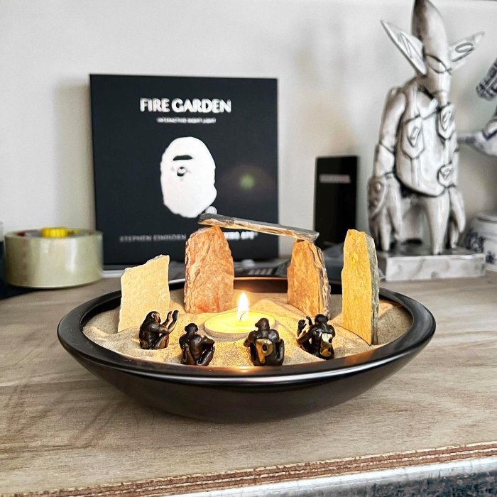 希望商店】STEPHEN EINHORN × A BATHING APE FIRE FIRE GARDEN 猿人