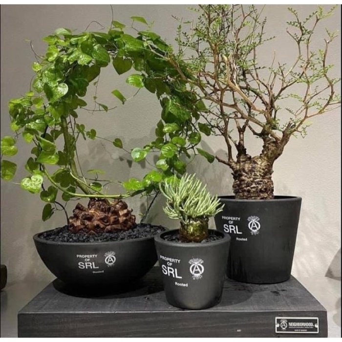 その他 NEIGHBORHOOD - NEIGHBORHOOD / SRL ROUND M / P PLANT POT SRL . ROUND-S M L / P-PLANT POT 3点セット