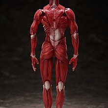 參號倉庫) 現貨figma SP-142 桌上美術館人體模型理科教室可動