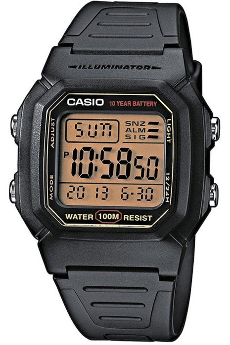 附發票 臺灣卡西歐公司貨【時間光廊】CASIO 十年電池 防水100M (當兵/學生) W-800HG-9A
