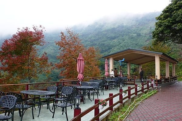 快樂自由行住宿 花現金針山!!! 台東太麻里咖啡  旺旺咖啡庭園民宿 雙人套房住宿. 知本.綠島.可帶寵物 金崙溫泉吊橋