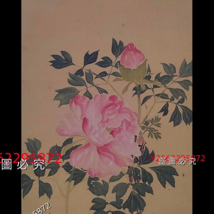 酒井抱祝（1878 ）牡丹花鳥圖手繪古筆南畫日本回流掛軸國畫文人畫清代