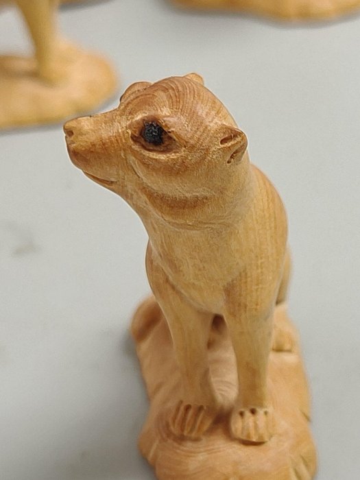 古董品 黄楊木 手工彫刻 代代數錢 置物 擺件 木工、竹工芸 工芸品