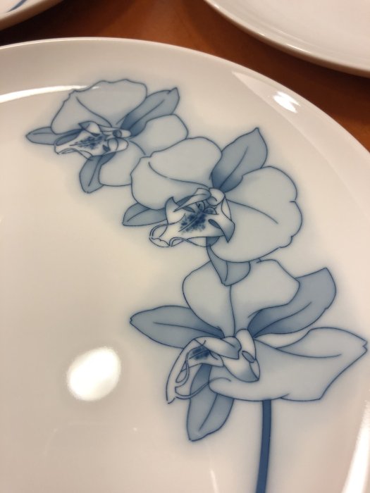 日本製香蘭社(KORANSHA) 蝴蝶蘭圖柄中皿一組/ 5pcs | Yahoo拍賣