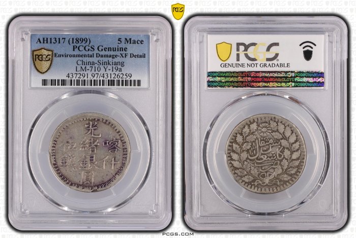 新疆省造光绪銀元伍錢AH1317喀什PCGS XF97 包漿不錯[認證編號43126259