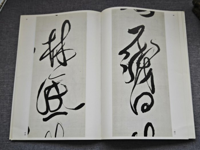 嚴選二玄社《中國法書選55 - 傅山集》平裝61頁珍藏字帖，品相極佳適合