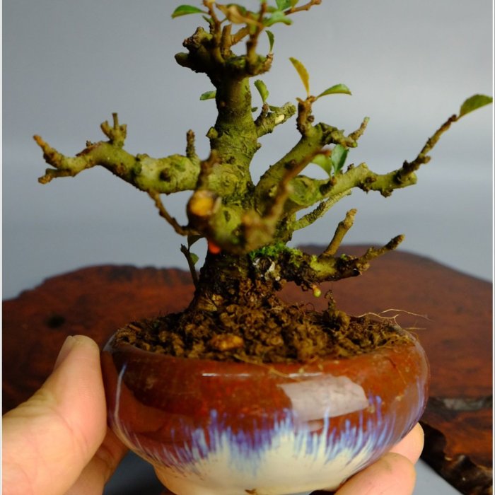 e89cbb03-dfb5-47c6-9965-