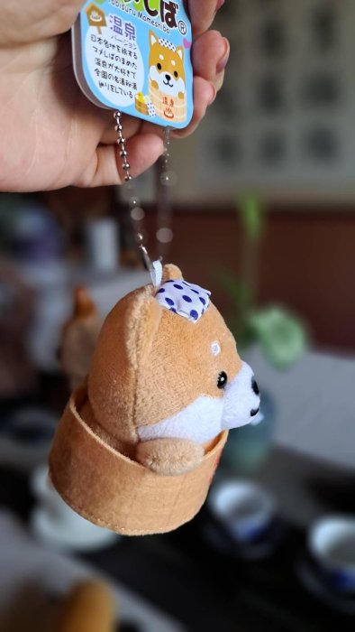 ☻日本豆柴君 ☻旅するマメしば ☑日本購回 ☑棕豆豆柴君『溫泉系列』 柴犬吊飾 擺飾 絨毛玩偶 可愛收藏品 | Yahoo拍賣