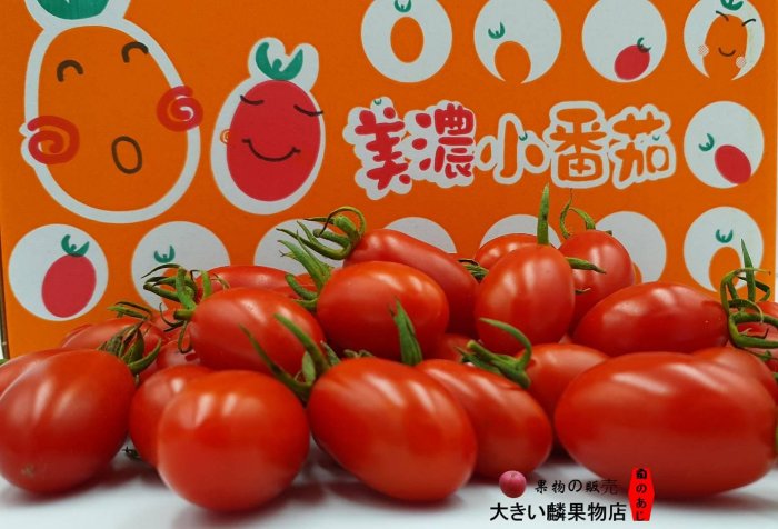 玉女番茄 美濃 溫室番茄 橙蜜蕃茄3-5斤裝 ※宏麟水果行※ 產地直銷