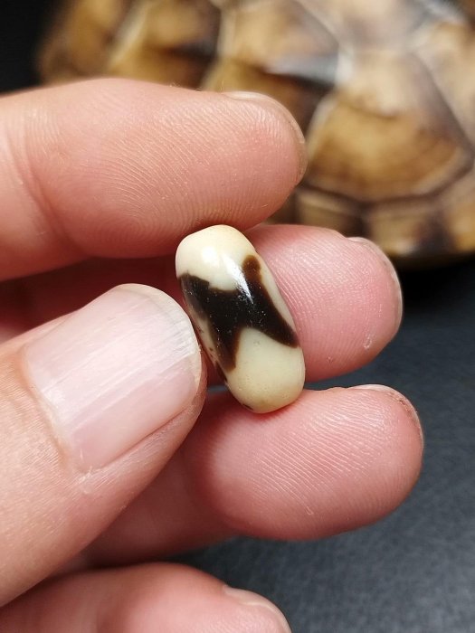 嚴選藏傳蓮花二眼天珠，瑪瑙打造，尺寸17.8X8.4，皮殼風化細膩油潤