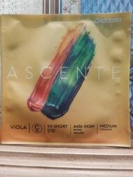 {鈺聲國際弦樂器}美國 D'Addario Ascente 中提弦 單C弦