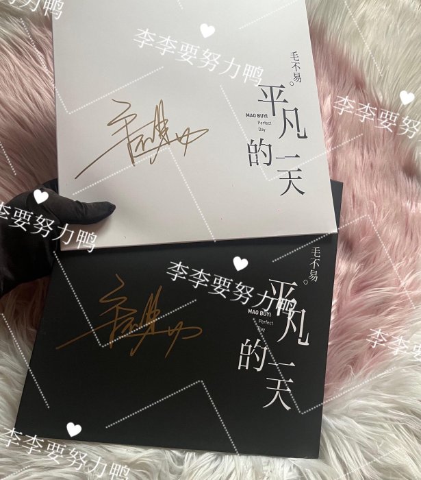 毛不易 平凡的一天 Perfect Day LP 2枚組 未開封 毛不易– 平凡的一天Perfect Day | Releases | Discogs