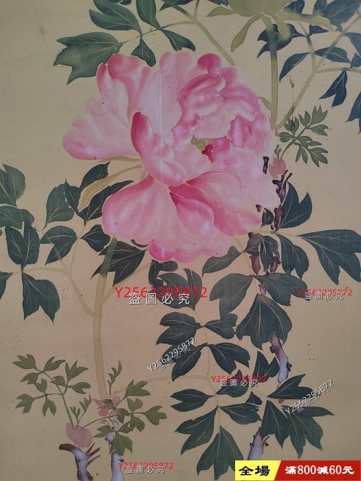 酒井抱祝（1878 ）牡丹花鳥圖手繪古筆南畫日本回流掛軸國畫文人畫清代