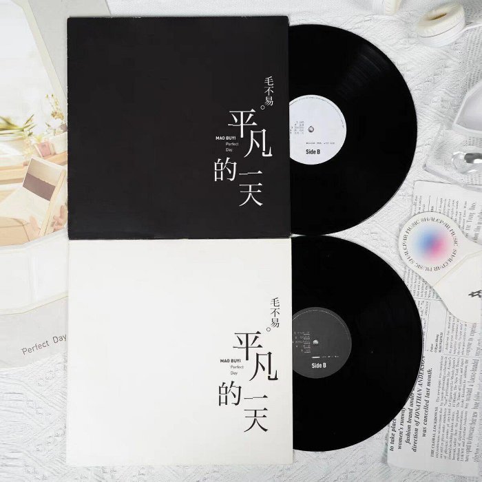 レコード 毛不易 平凡的一天 Perfect Day LP 2枚組 未開封