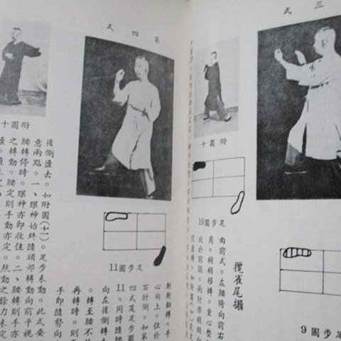鄭子太極拳自修新法 鄭子太極拳自修新法- 三民網路書店