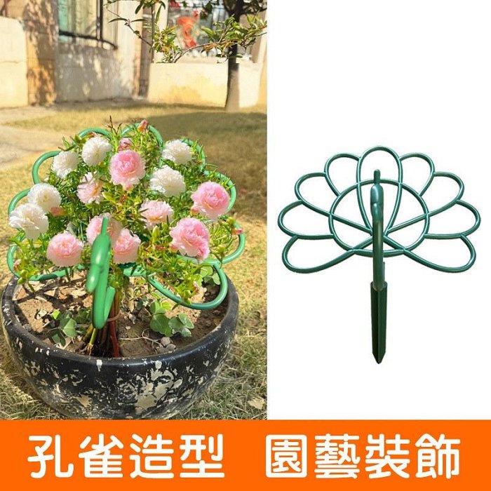【珍愛頌】N685 孔雀造型 植物支撐架 花卉支撐架 太陽花支架 太陽花架 爬藤架 龜背芋 螃蟹蘭架 黃金葛架 園藝裝飾