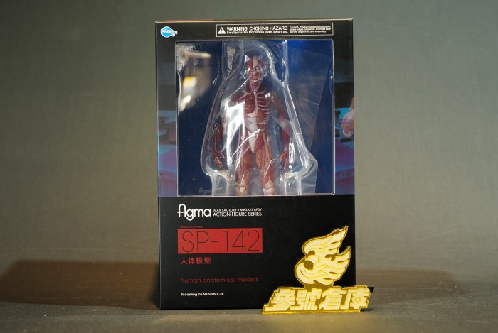 參號倉庫) 現貨figma SP-142 桌上美術館人體模型理科教室可動完成品