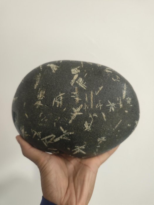 嚴選天然竹葉石擺件，質地精純適合收藏與陳設6cm 竹葉石擺件石頭