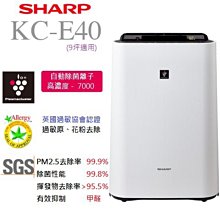 3e9931df-5a73-410d-98f2-