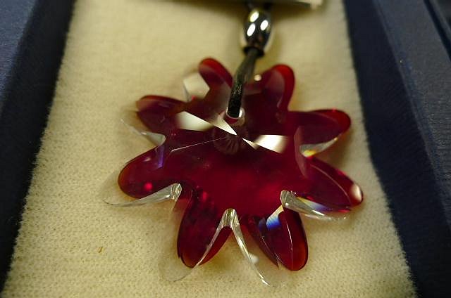 【SHAN】PRECIOSA 精美造型飾品（捷克鑽 捷克水晶）請詳閱說明