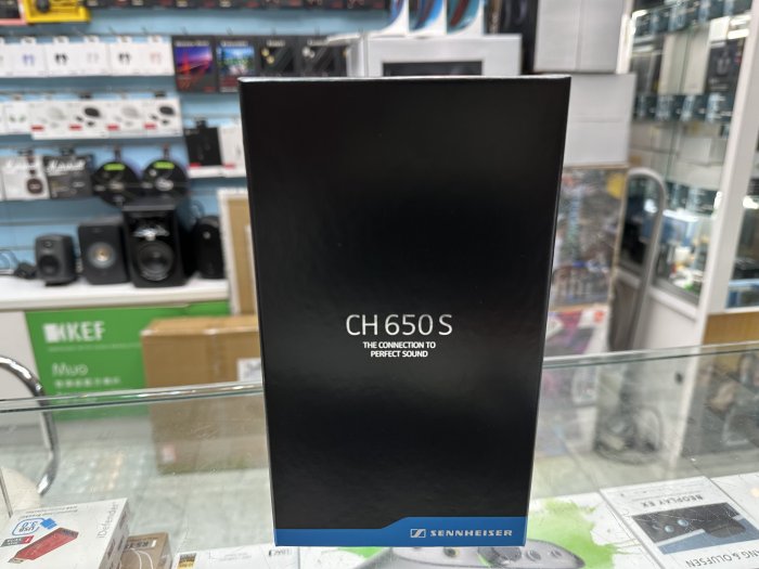 禾豐音響 全新現貨 宙宣公司貨 CH650S 德國聲海 SENNHEISER HD650/HD600 平衡端子耳機升級線