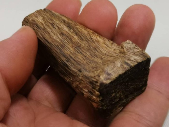 多藝多]海南白棋楠沈香極品小掛件奇南約11.3公克生結白棋楠沈香奇楠