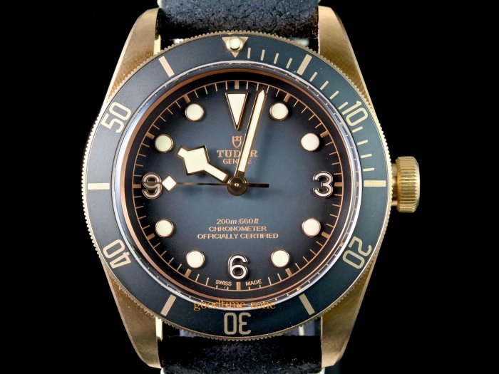 [現貨] TUDOR 帝舵 79250 BA 全新現貨 青銅錶 石板灰色面 43mm WS894 79030 79363 79230 79833