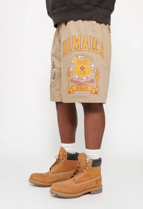 STUSSY & DENIM TEARS GYM SHORT 短褲。太陽選物社312025 | Yahoo拍賣