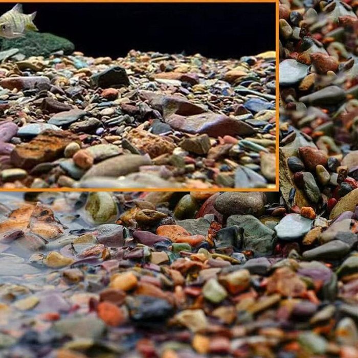 【珍愛頌】N822 溪流石 500g 川藏砂 魚缸造景 水族裝飾 魚缸底砂 水族鋪缸 天然原生石塊 水族箱 石景 溪石