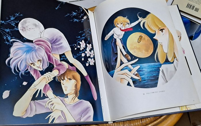 ◕‿◕):°*＊日文版畫冊:°* ～＊海の闇、月の影─イラスト集＊()～篠原