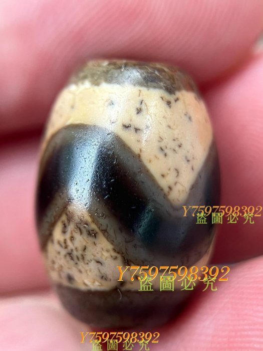 藏傳至純虎牙天珠【尺寸】20*14.5mm 藏傳精品虎牙天珠，品相完美